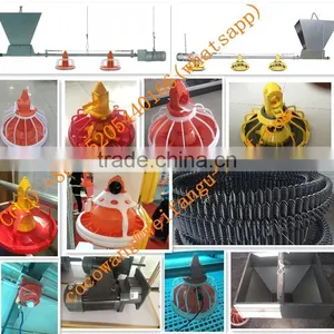 Broiler Poultry Farm Equipment Automatic Silo/Feeding/Drinking/Fan/Cooling Pad/Heater/Controller System for Farming Chickens thumbnail-2