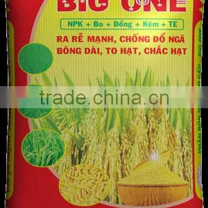 BIG ONE FOR RICE thumbnail-1