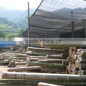 Eliminate Peculiar Smell of the Bamboo Carbon thumbnail-5