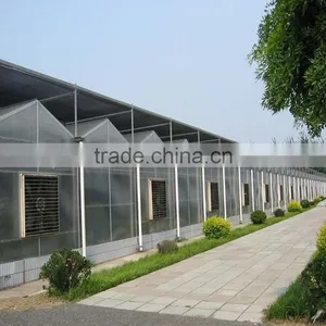 In Machine Ventilation Ecological Greenhouse thumbnail-1
