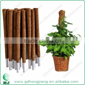 Coir Stake for Climbing Plant Support thumbnail-2