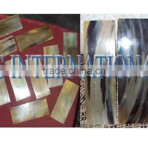 Buffalo/Ox Horn Button Blanks thumbnail-6