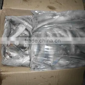 Frozen Horse Mackerel W/R Fish thumbnail-4