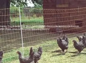 Chicken Wire Netting thumbnail-1