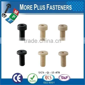 Made in Taiwan Hex Socket Plastic Cap Screw Cross Recess Pan Head Plastic Material Screw thumbnail-3