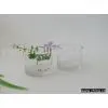 Glass Vase thumbnail-1