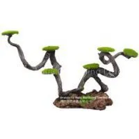 Moss Tree Stump, Bosai Tree thumbnail-3