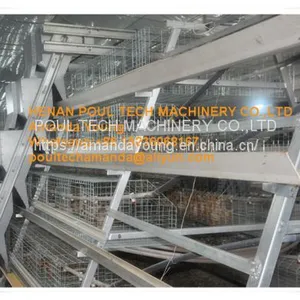 Oman Poultry Farming A Frame Automatic Small Chicken Cage & Poultry Farm Equipment With Drinking & Feeding System for Baby Chick thumbnail-2