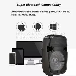 IRRICO 15inch Portable Bluetooth Speaker, Pro System, Professional Audio thumbnail-2