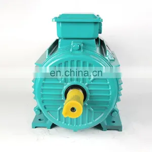 THREE PHASE ELECTRIC MOTOR thumbnail-4