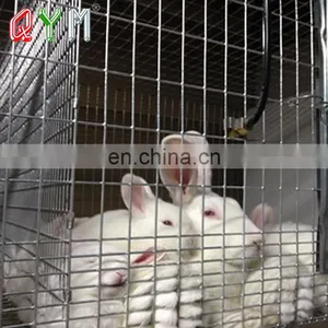 Metal Welded Chain Link Wire Outdoor Dog Kennels Dog Cages Welded Mesh Metal Cheap thumbnail-4