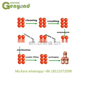 Tomato Paste Production Line Hot Sale thumbnail-2
