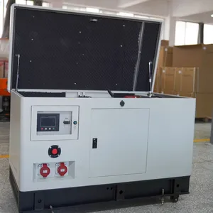 15kw Single Phase 220V Water-cooled Silent Gasoline Generator thumbnail-1