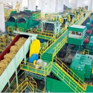 Genyond Complete Sugar Plants thumbnail-6