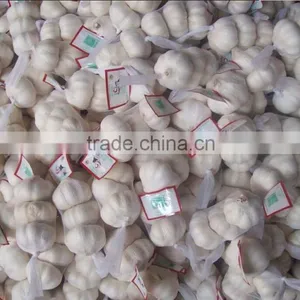 White Garlic,pure White Garlic thumbnail-1