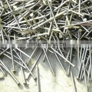 Top Quality Iron Nails Supply, Iron Nail, Common Wire Nail as Construction Material thumbnail-2
