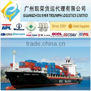Sea Freight Forwarder From China to Istanbul Turkey thumbnail-1