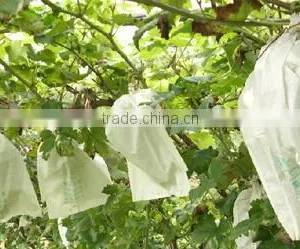 Fruit Growing Paper Bag,Fruit Growing Paper Bag Manufacturer thumbnail-1