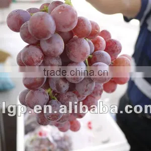 Fresh Red Grape thumbnail-1