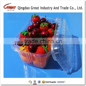 Disposable Blister Plastic Small Tomato Fruit Container Packaging Box thumbnail-3