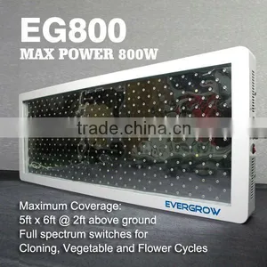 800W Led Grow Light Used For Gardening EG800 thumbnail-1