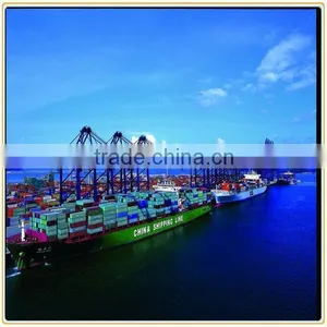 Reliable Sea Freight China to Turkey thumbnail-1