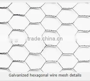 Hexagonal Woven Twist Wire Mesh - Galvanized and PVC Coated Chicken Mesh Price thumbnail-2