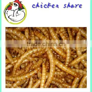 High Protein Pet Food Dried Mealworm thumbnail-1