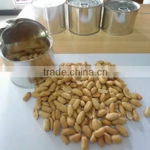 Best Shandong Canned Fried Peanuts for Sale thumbnail-2
