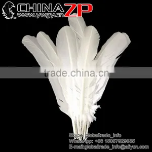 Gold Supplier CHINAZP Cheap Bulk Plume Dyed Snow White Solid Color Turkey Feather for Sale thumbnail-1
