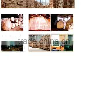 Sawn Timber Rubber Wood/ Vietnam Rubber Wood Timber thumbnail-1