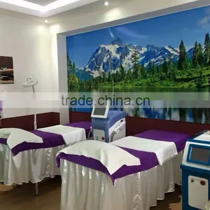 Facial Veins Treatment Factory Price For Q Switch Freckles Removal Nd Yag Laser Tattoo Removal Machine Tattoo Removal System thumbnail-5