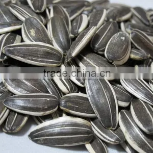 Price Of Sunflower Seeds 5009 With Good Quality Lowest Price thumbnail-1