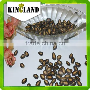 Wholesale Watermelon Seed Kernels thumbnail-5