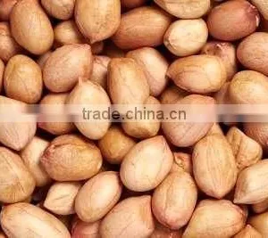 Long Peanut Bold thumbnail-3