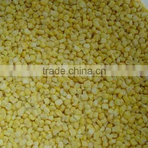 NON-GMO Frozen Sweet Corn Kernels IQF Sweet Corn thumbnail-1