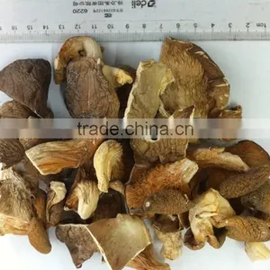 Dried Oyster Mushroom for Sale Oyster Mushrooms 1kg Dry thumbnail-1
