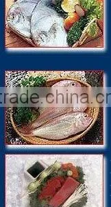 Sea Water Fish thumbnail-1