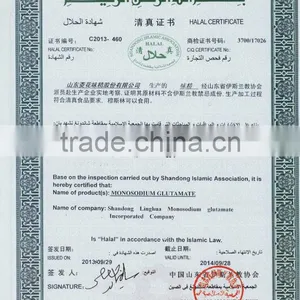 Msg Manufacturer China thumbnail-2