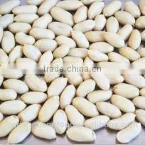 Shandong Groundnut Blanched Peanuts thumbnail-1