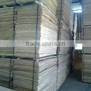 CORE VENEER DRYER IN VIETNAM WITH GREAT PRICE thumbnail-2