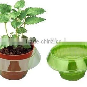 Plant Pot Slug and Snail Guards thumbnail-1