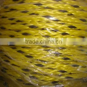 Colorful 3 Strands pe Twisted Rope for Sale thumbnail-1
