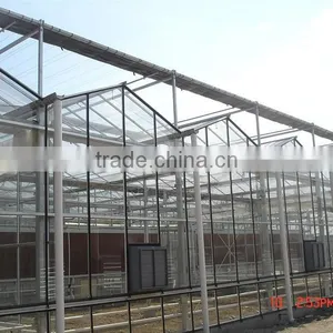 Light Steel Structure Multi Span Glass Greenhouse for Modern Agriculture thumbnail-1