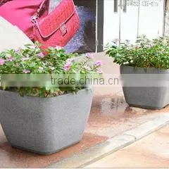 Xiamen Geno Industry Co., Ltd. company overview - view 3 thumbnail