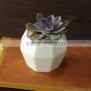 Creative Octagon White Ceramic Small Interior Decorative Pots thumbnail-3