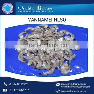 Highly Effective Health Beneficial Mackerel Fish for Wholesale Buyer thumbnail-6