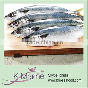 Boneless Frozen Mackerel Prices Lot Number#kmw4029 thumbnail-1