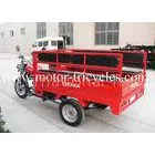 Long Seats Passenger Motor Tricycle RS200ZH-C 150cc 175cc 200cc 250cc Engine thumbnail-1