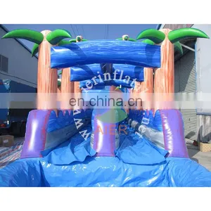 New Fashion Giant Inflatable Water Slide,inflatable Colorful Water Slide,Double Tube Inflatable Water Slide thumbnail-3